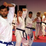 What is Karate? – Daniel San!